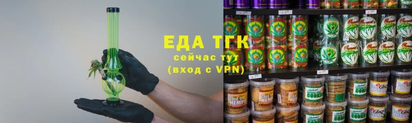 дурь Гусев
