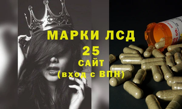 мяу мяу мука Дмитриев