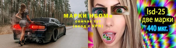 мяу мяу мука Дмитриев