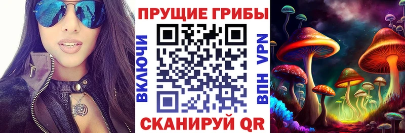 Купить закладки  Лихославль  Галлюциногенные грибы мицелий 